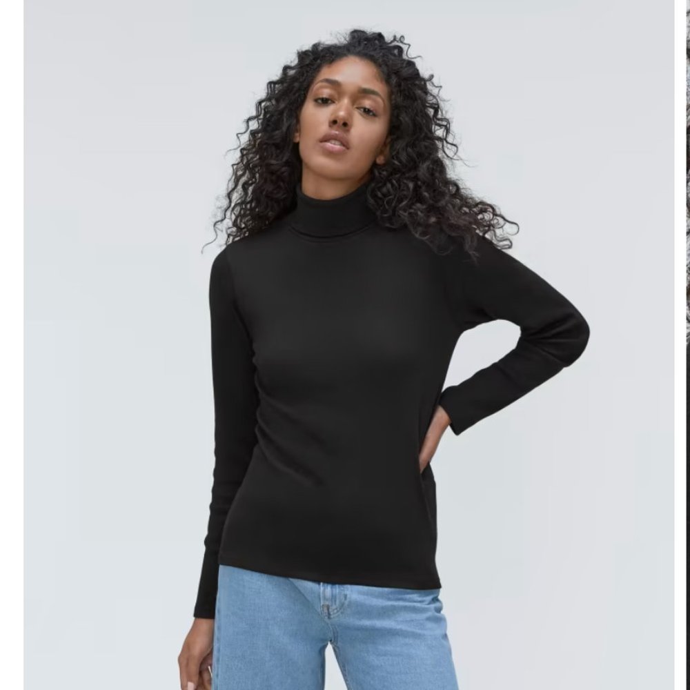 Everlane The Supima® Micro-Rib Turtleneck